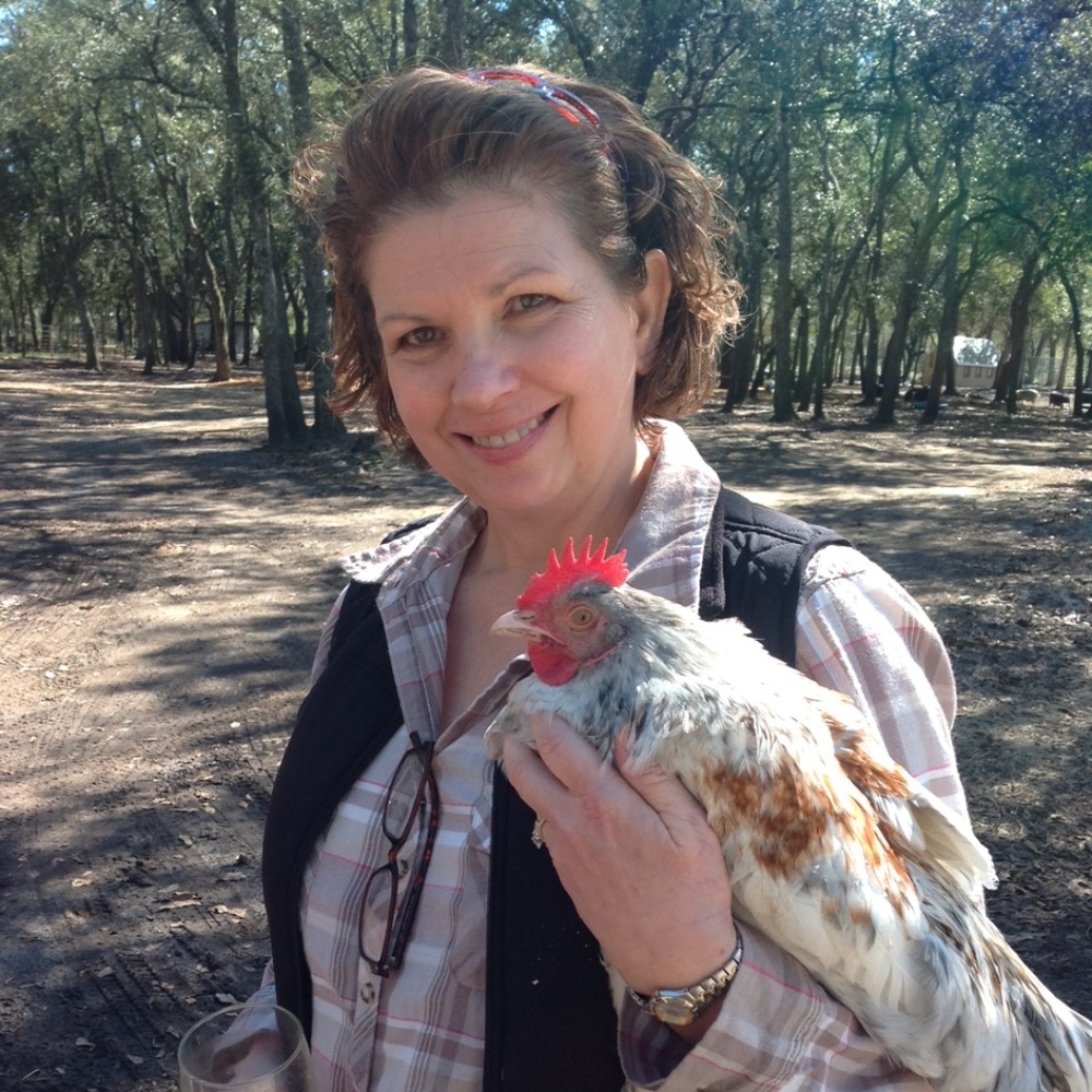 Meet your Posher, Elaine